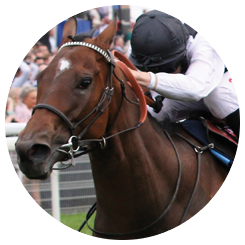 Elite Racing Club